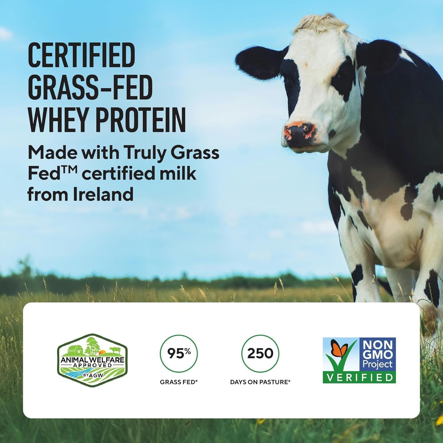 Grass‑Fed Whey Isolate – French Vanilla